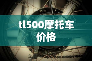 tl500摩托车价格  第1张