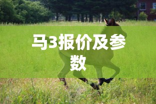 马3报价及参数  第1张