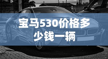 宝马530价格多少钱一辆  第1张