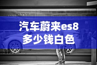 汽车蔚来es8多少钱白色  第1张