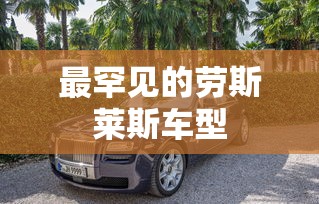 最罕见的劳斯莱斯车型  第1张