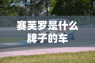 赛芙罗是什么牌子的车  第1张