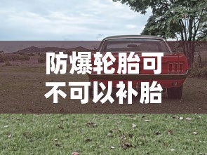 防爆轮胎可不可以补胎  第1张