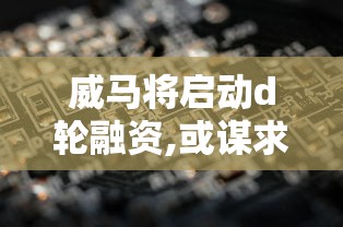 威马将启动d轮融资,或谋求10亿美元资金  第1张