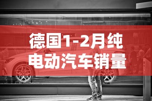 德国1-2月纯电动汽车销量排行榜  第1张