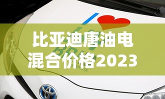 比亚迪唐油电混合价格2023款报价图片  第1张