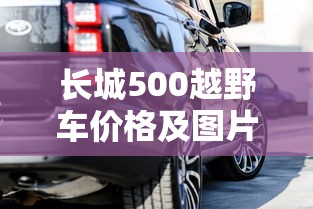 长城500越野车价格及图片及报价  第1张