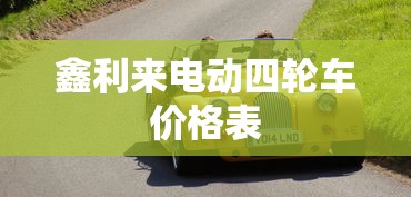 鑫利来电动四轮车价格表  第1张