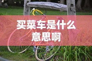 买菜车是什么意思啊  第1张