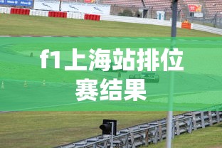 f1上海站排位赛结果  第1张