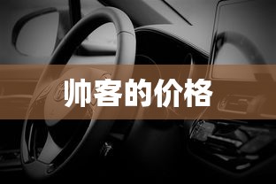 帅客的价格  第1张