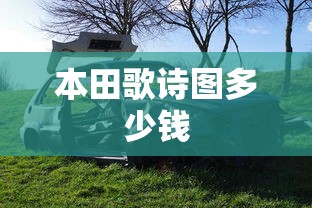 本田歌诗图多少钱  第1张