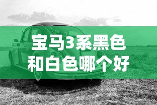 宝马3系黑色和白色哪个好看  第1张
