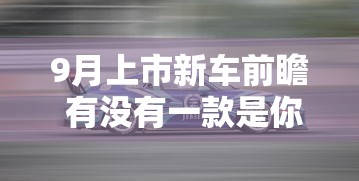 9月上市新车前瞻 有没有一款是你期待的?  第1张