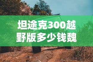 坦途克300越野版多少钱魏派  第1张