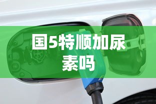 国5特顺加尿素吗  第1张