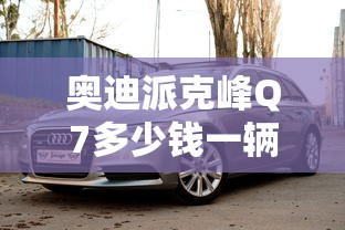 奥迪派克峰Q7多少钱一辆车  第1张