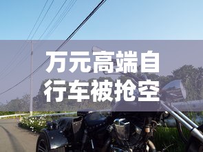 万元高端自行车被抢空或可升值  第1张