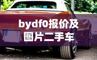 bydf0报价及图片二手车  第1张