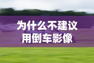 为什么不建议用倒车影像  第1张