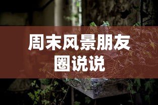周末风景朋友圈说说  第1张
