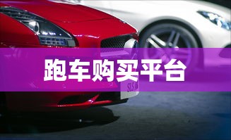 跑车购买平台  第1张
