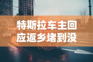特斯拉车主回应返乡堵到没电叫拖车吗  第1张