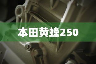 本田黄蜂250  第1张