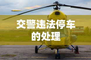 交警违法停车的处理  第1张