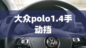 大众polo1.4手动挡  第1张