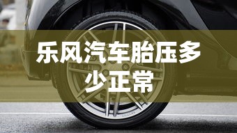 乐风汽车胎压多少正常  第1张