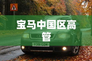 宝马中国区高管  第1张