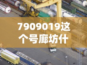 7909019这个号廊坊什么单位号  第1张