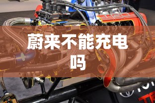 蔚来不能充电吗  第1张