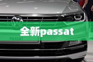 全新passat  第1张