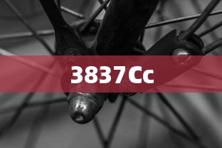 3837Cc  第1张