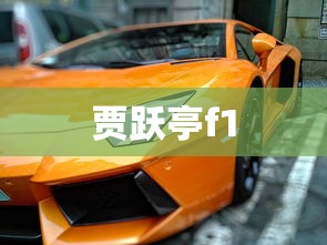 贾跃亭f1  第1张