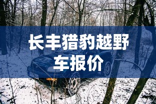 长丰猎豹越野车报价  第1张