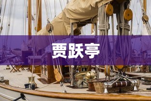 贾跃亭  第1张