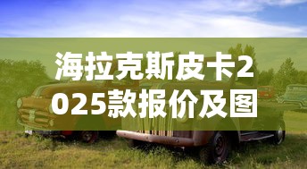 海拉克斯皮卡2025款报价及图片  第1张