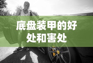 底盘装甲的好处和害处  第1张