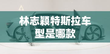 林志颖特斯拉车型是哪款  第1张
