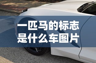 一匹马的标志是什么车图片  第1张