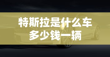 特斯拉是什么车多少钱一辆  第1张