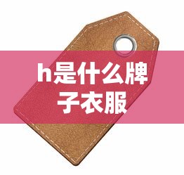 h是什么牌子衣服  第1张