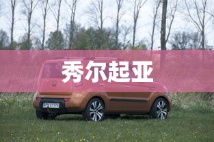秀尔起亚  第1张