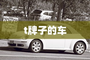 t牌子的车  第1张