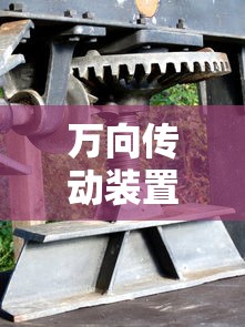万向传动装置的组成  第1张