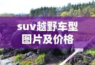 suv越野车型图片及价格  第1张