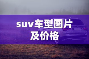 火影忍者托斯砧  第1张